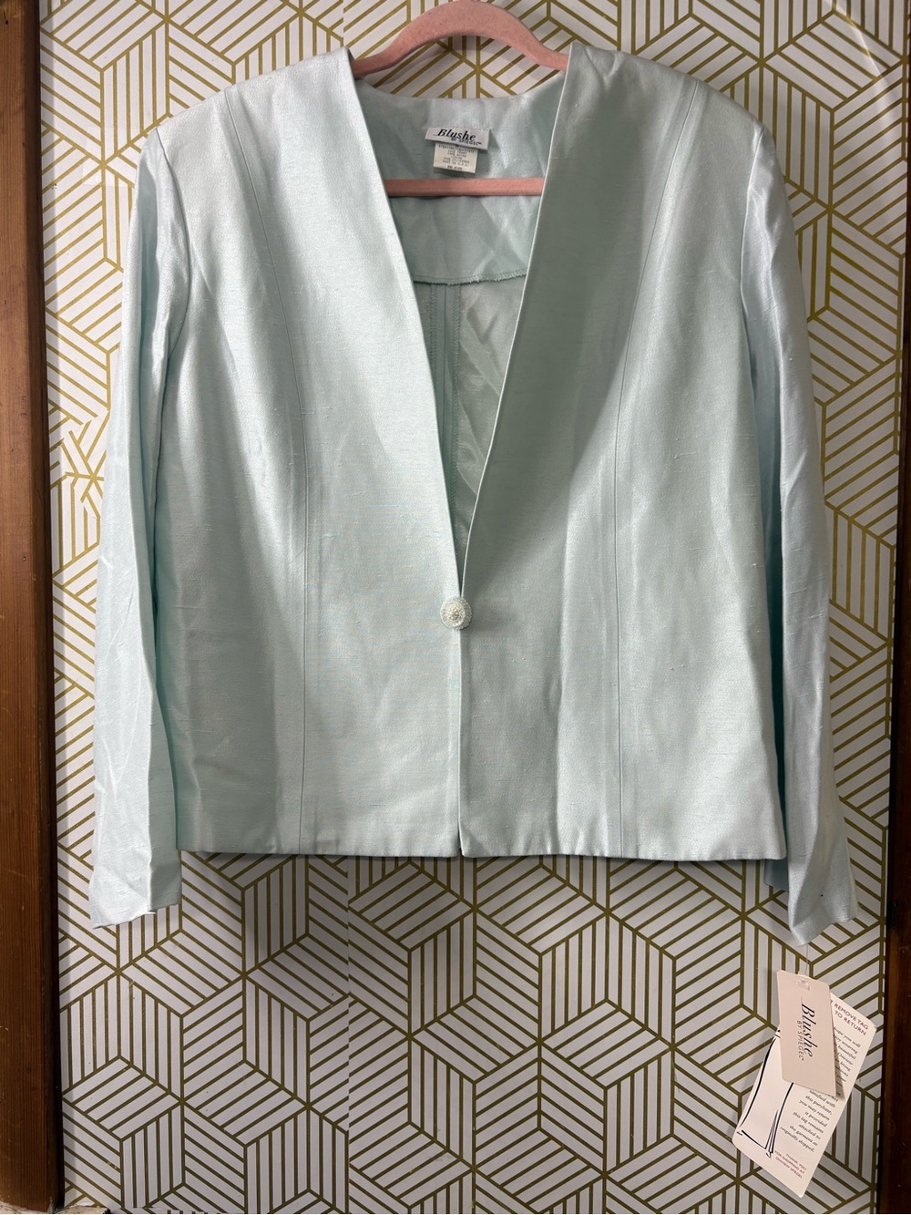 Vintage Blushe by Spiegel Jacket size 16 new with tag